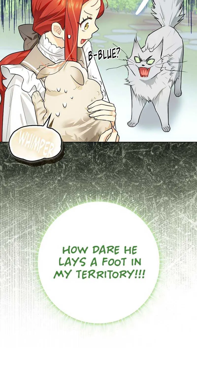 Even Though I Transmigrated as a Villainess, I’d Rather Raise a Cat Chapter 13 page 93 - 