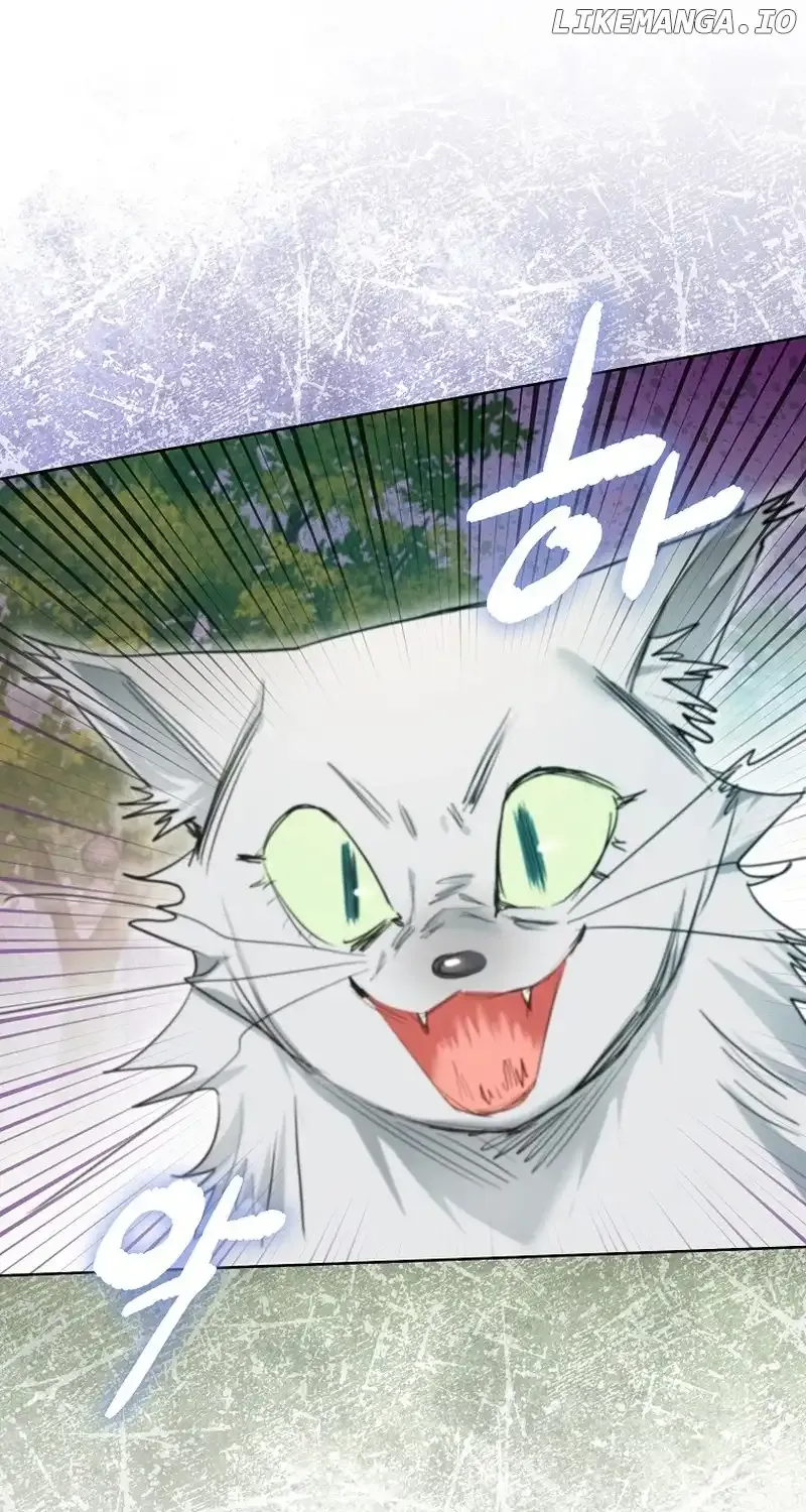 Even Though I Transmigrated as a Villainess, I’d Rather Raise a Cat Chapter 14 page 2 - 