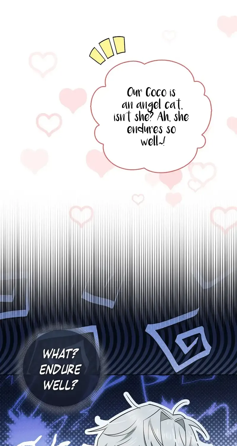 Even Though I Transmigrated as a Villainess, I’d Rather Raise a Cat Chapter 14 page 11 - 