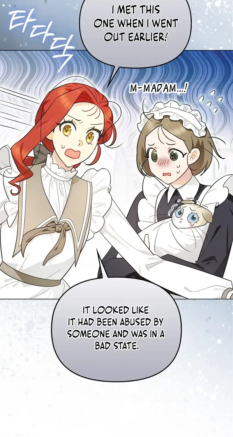Even Though I Transmigrated as a Villainess, I’d Rather Raise a Cat Chapter 14 page 25 - 
