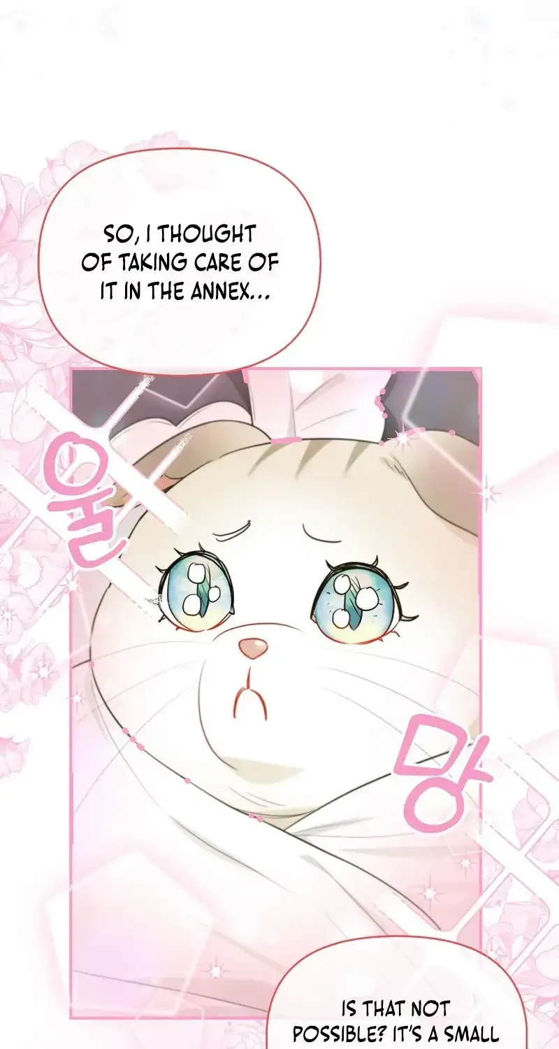 Even Though I Transmigrated as a Villainess, I’d Rather Raise a Cat Chapter 14 page 26 - 