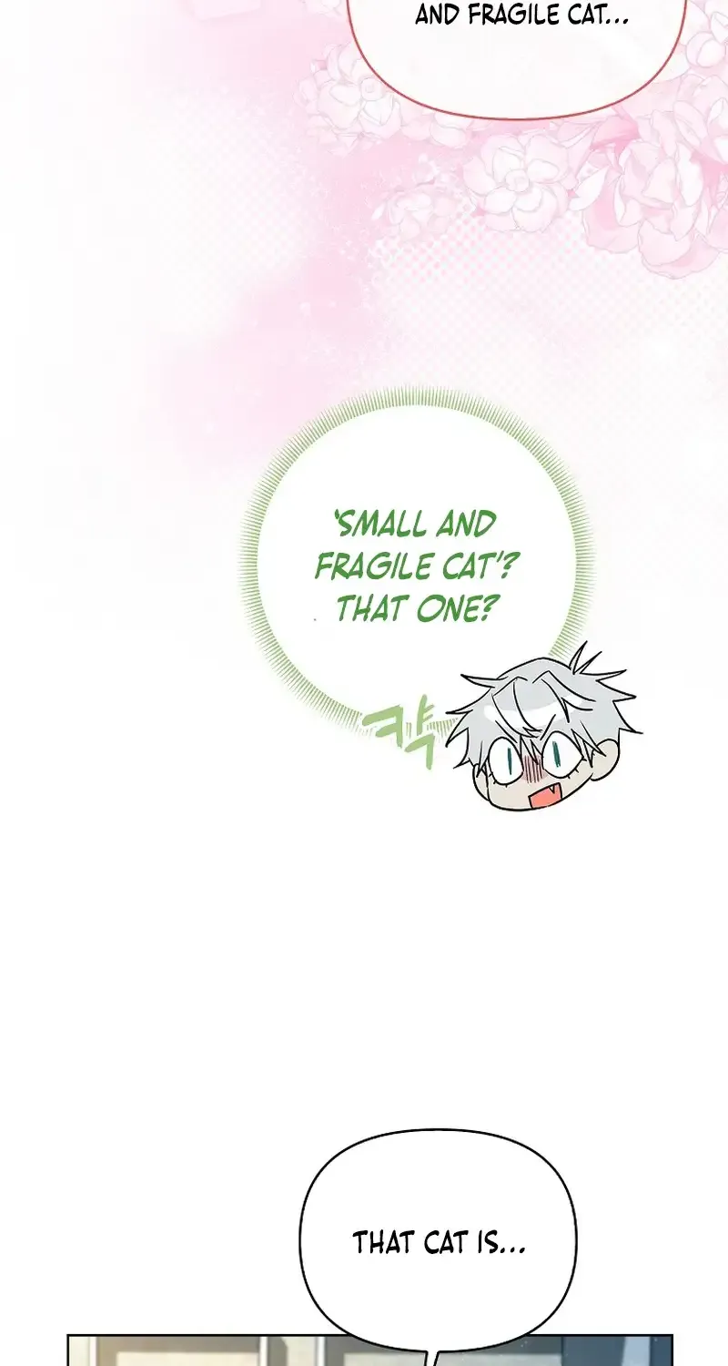 Even Though I Transmigrated as a Villainess, I’d Rather Raise a Cat Chapter 14 page 27 - 