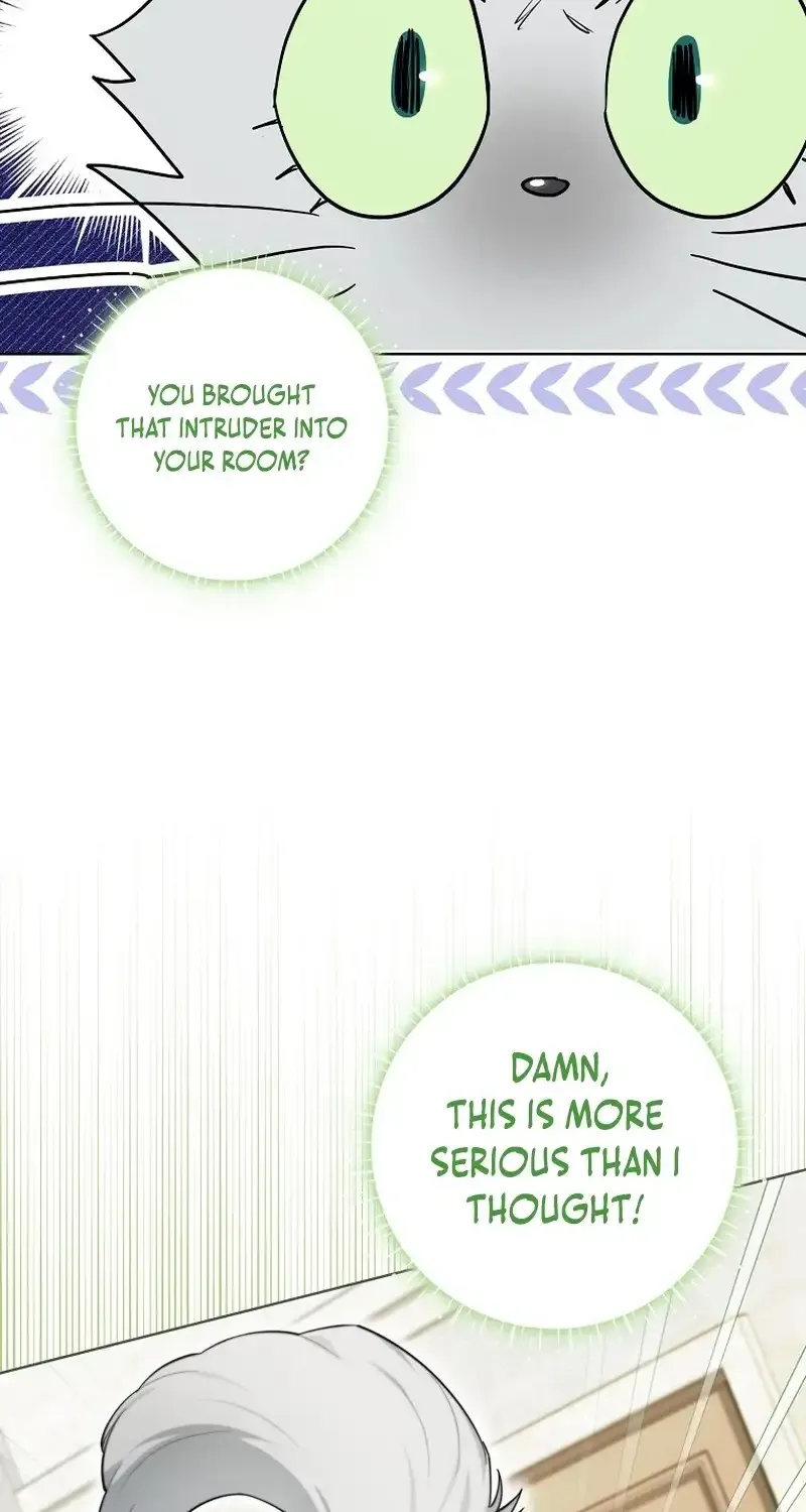 Even Though I Transmigrated as a Villainess, I’d Rather Raise a Cat Chapter 14 page 5 - 