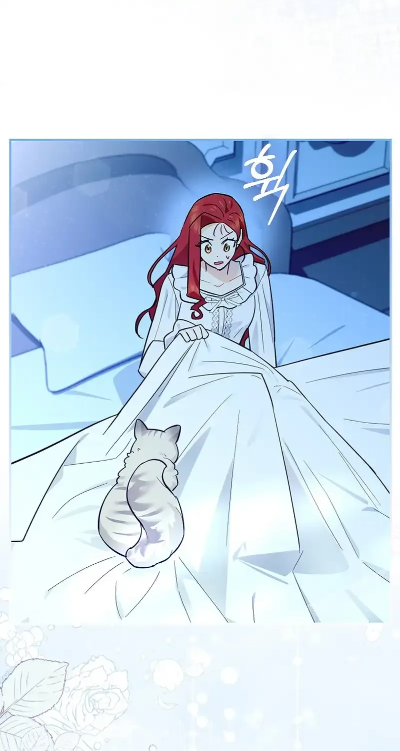 Even Though I Transmigrated as a Villainess, I’d Rather Raise a Cat Chapter 14 page 43 - 