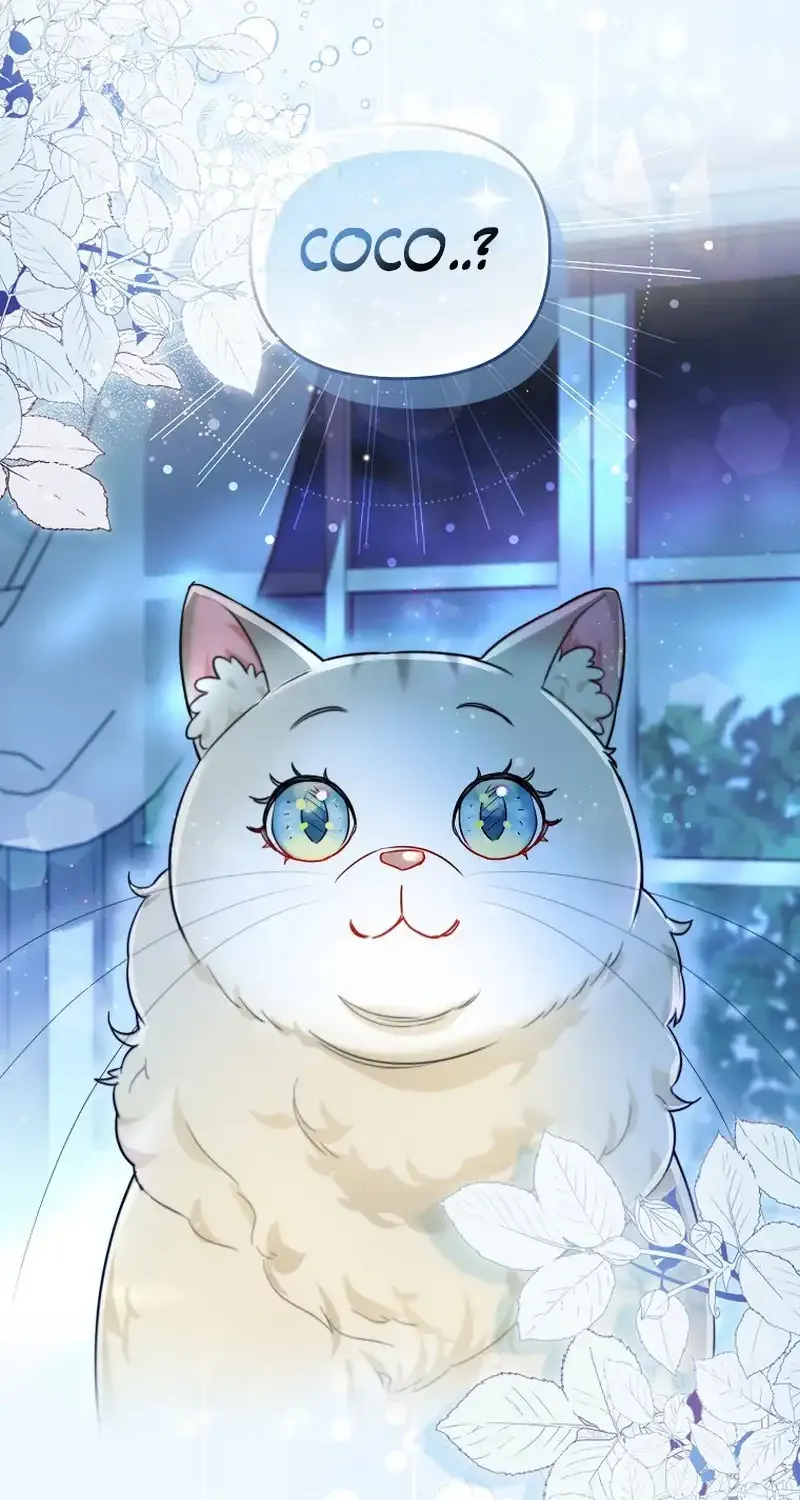 Even Though I Transmigrated as a Villainess, I’d Rather Raise a Cat Chapter 14 page 44 - 