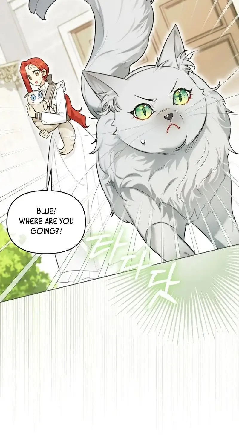 Even Though I Transmigrated as a Villainess, I’d Rather Raise a Cat Chapter 14 page 6 - 