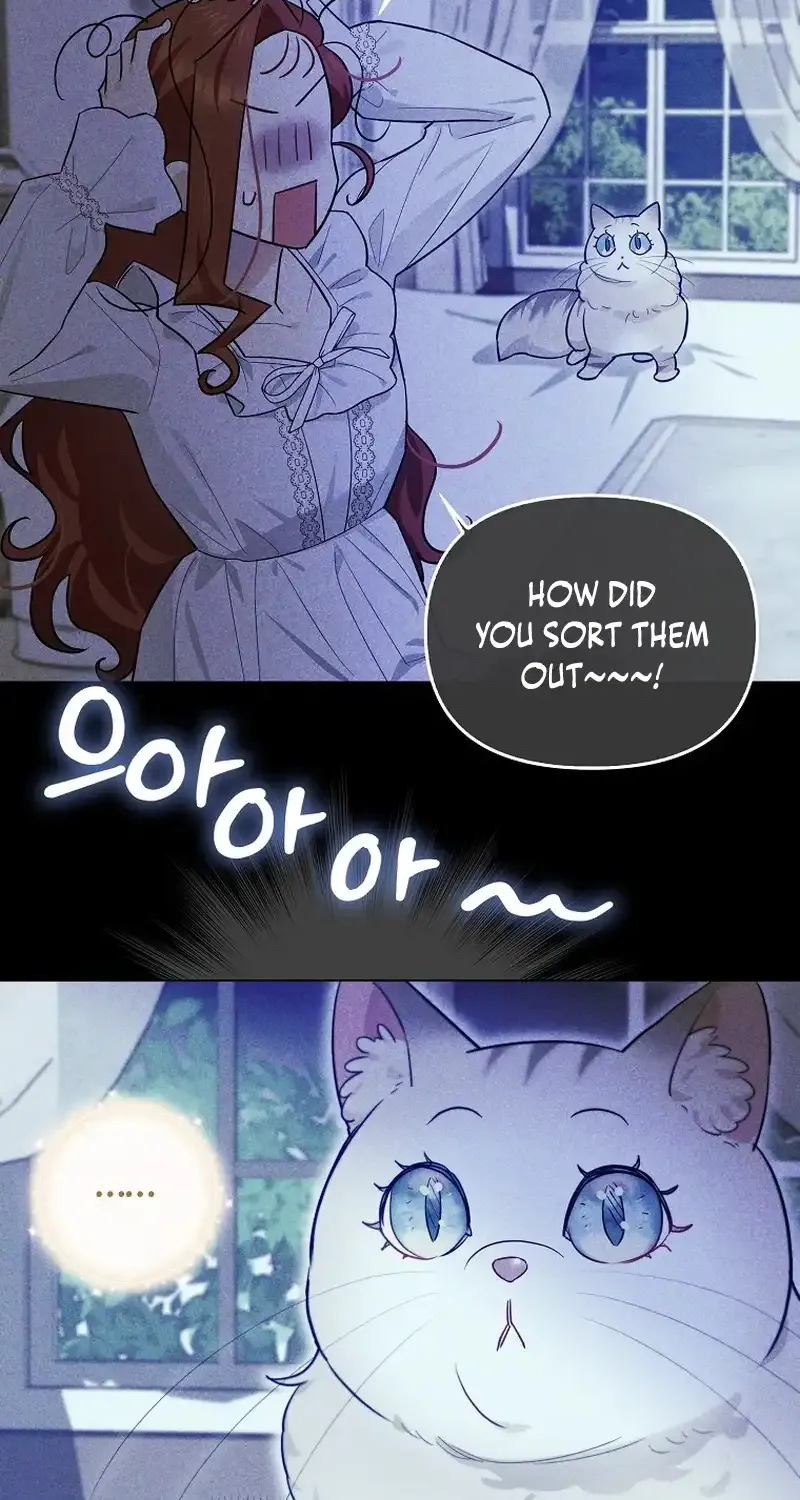 Even Though I Transmigrated as a Villainess, I’d Rather Raise a Cat Chapter 14 page 52 - 