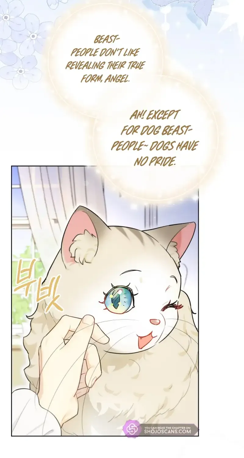 Even Though I Transmigrated as a Villainess, I’d Rather Raise a Cat Chapter 14 page 61 - 