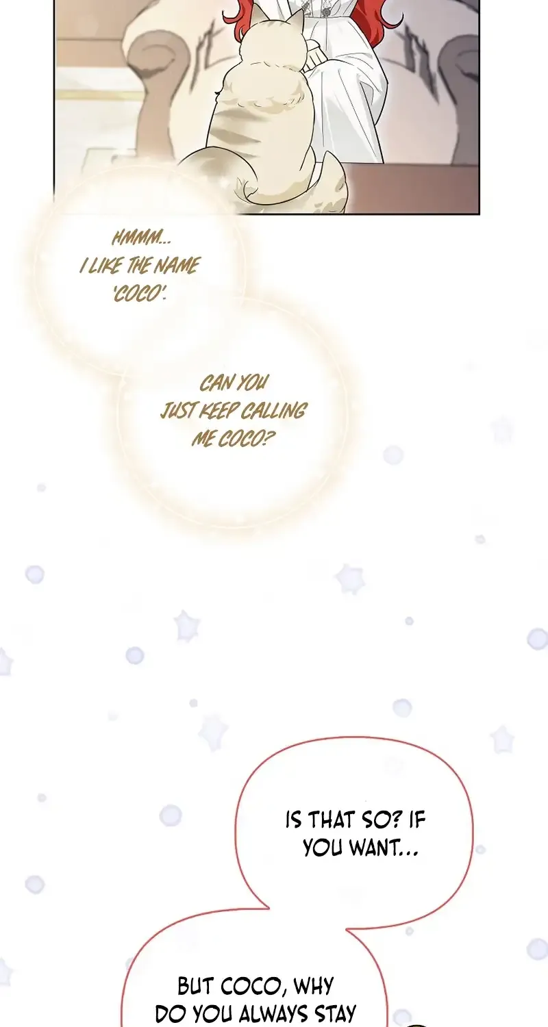 Even Though I Transmigrated as a Villainess, I’d Rather Raise a Cat Chapter 14 page 67 - 
