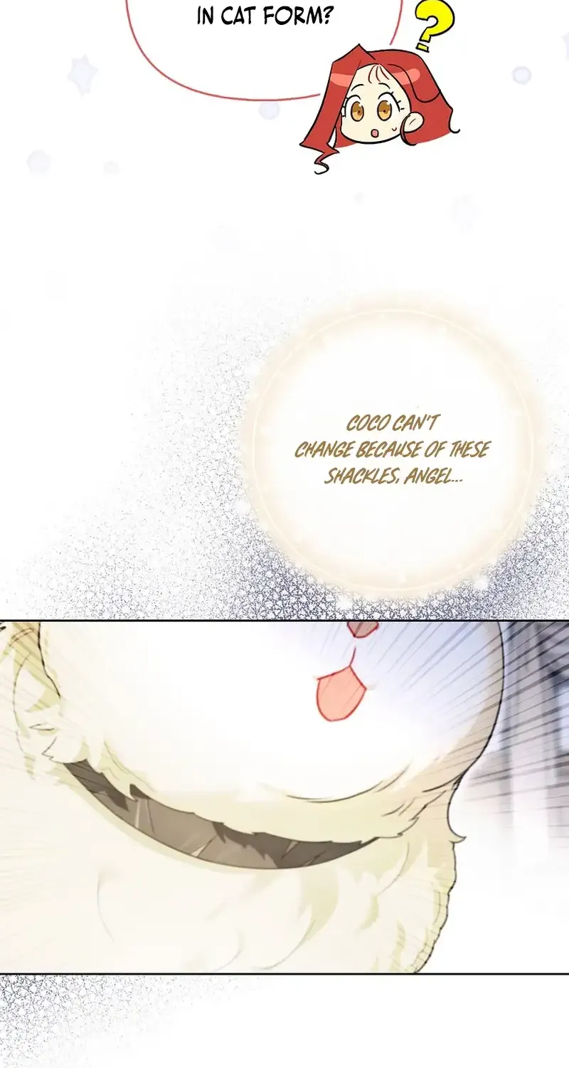 Even Though I Transmigrated as a Villainess, I’d Rather Raise a Cat Chapter 14 page 68 - 