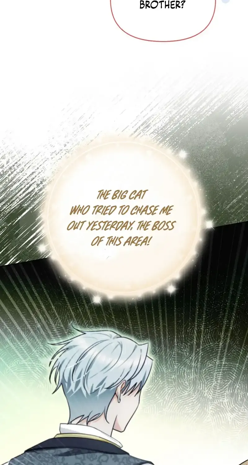 Even Though I Transmigrated as a Villainess, I’d Rather Raise a Cat Chapter 14 page 72 - 