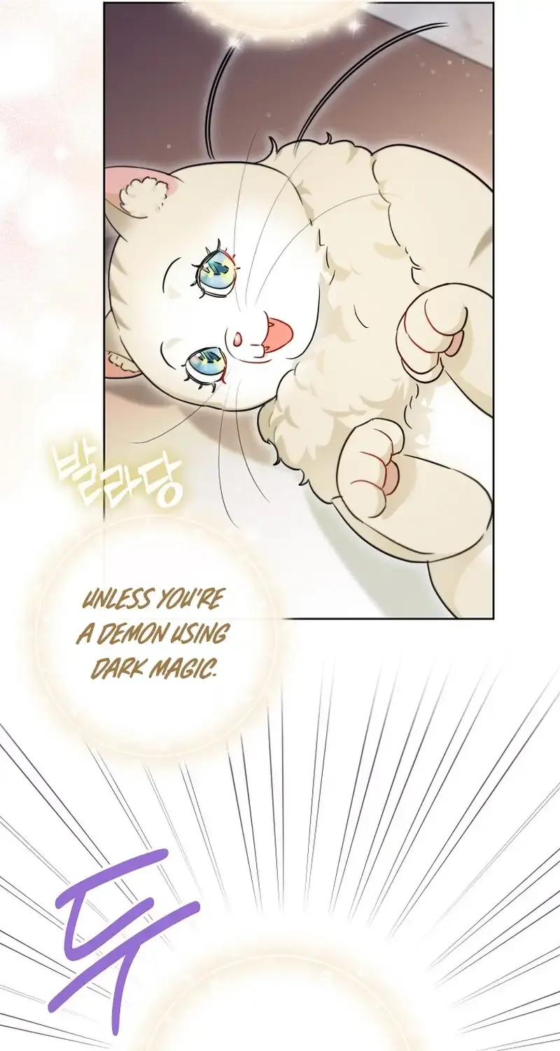 Even Though I Transmigrated as a Villainess, I’d Rather Raise a Cat Chapter 14 page 77 - 