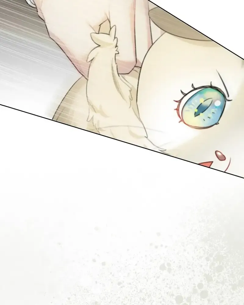 Even Though I Transmigrated as a Villainess, I’d Rather Raise a Cat Chapter 15 page 14 - 