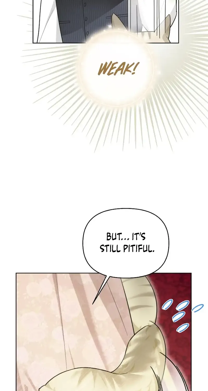 Even Though I Transmigrated as a Villainess, I’d Rather Raise a Cat Chapter 15 page 18 - 