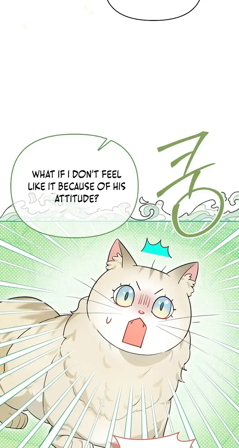 Even Though I Transmigrated as a Villainess, I’d Rather Raise a Cat Chapter 15 page 24 - 