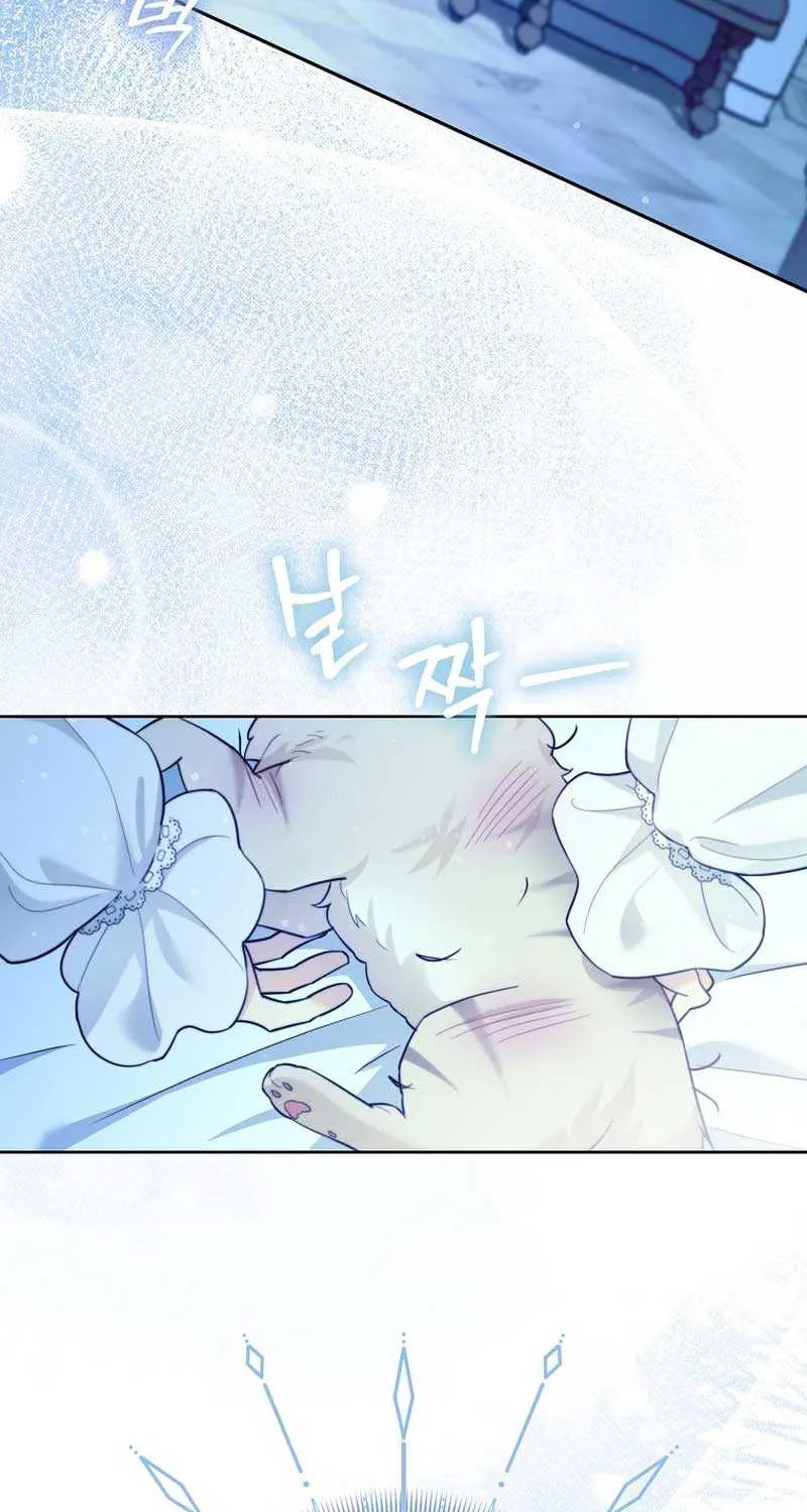 Even Though I Transmigrated as a Villainess, I’d Rather Raise a Cat Chapter 16 page 14 - 