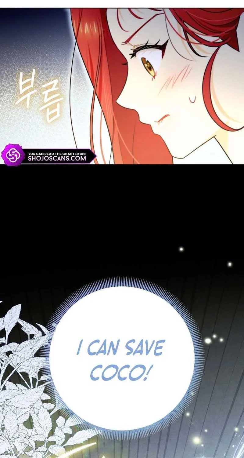 Even Though I Transmigrated as a Villainess, I’d Rather Raise a Cat Chapter 16 page 17 - 