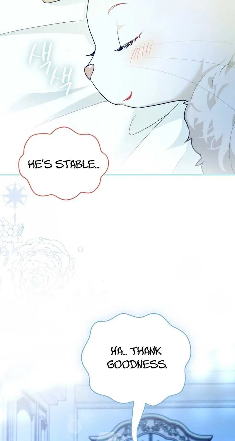 Even Though I Transmigrated as a Villainess, I’d Rather Raise a Cat Chapter 16 page 20 - 