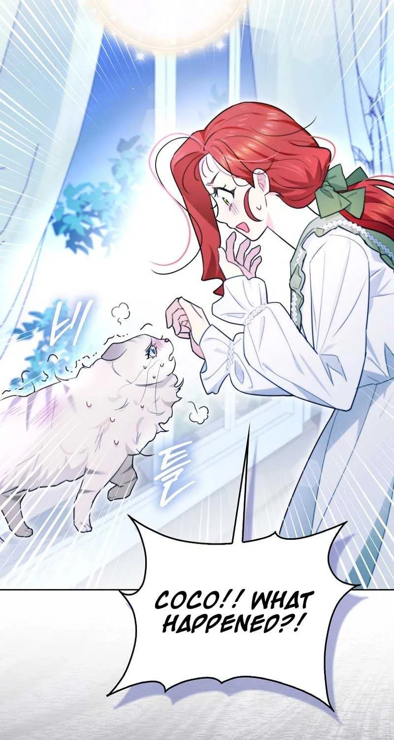 Even Though I Transmigrated as a Villainess, I’d Rather Raise a Cat Chapter 16 page 3 - 