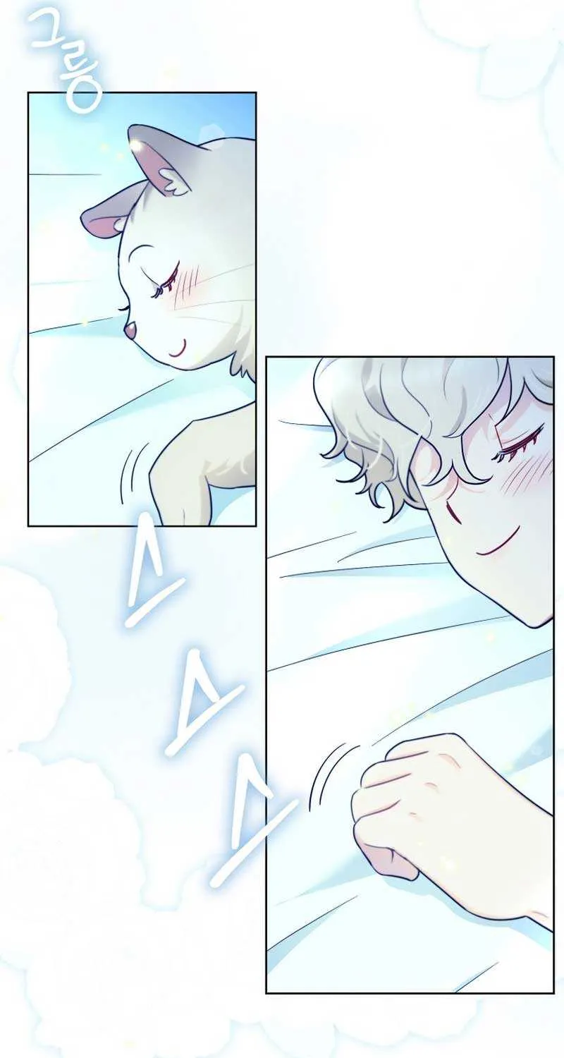 Even Though I Transmigrated as a Villainess, I’d Rather Raise a Cat Chapter 16 page 22 - 