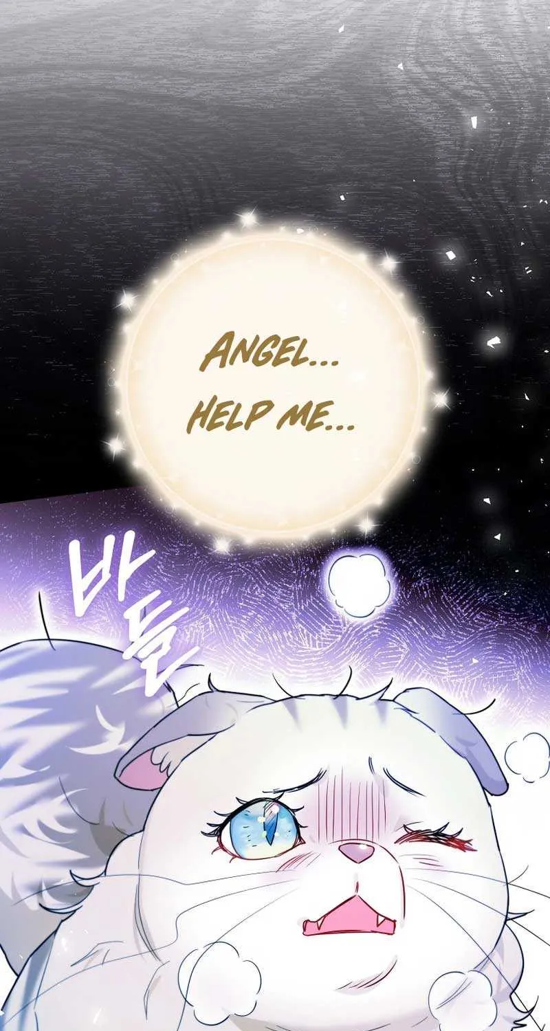 Even Though I Transmigrated as a Villainess, I’d Rather Raise a Cat Chapter 16 page 4 - 
