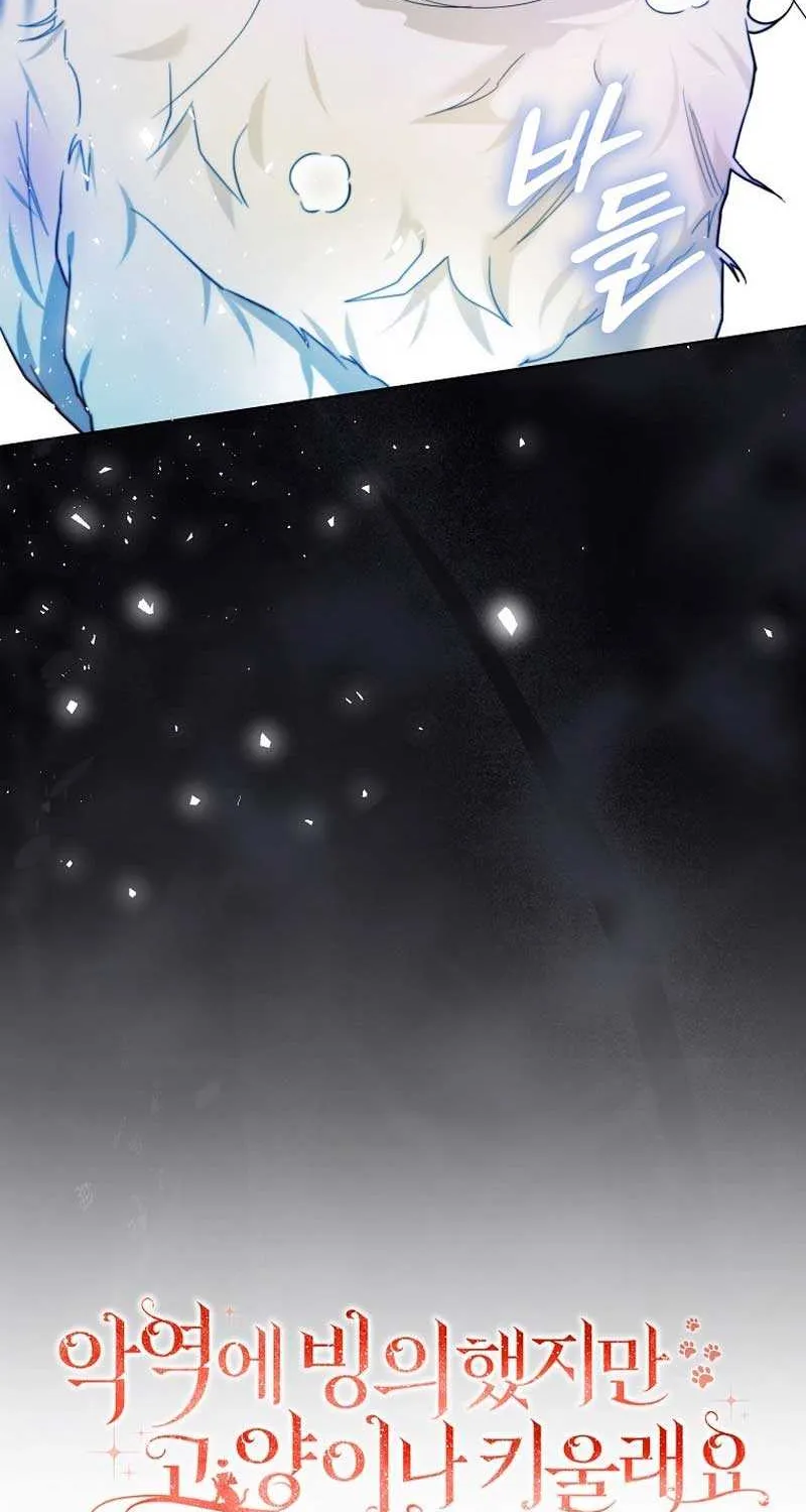 Even Though I Transmigrated as a Villainess, I’d Rather Raise a Cat Chapter 16 page 5 - 