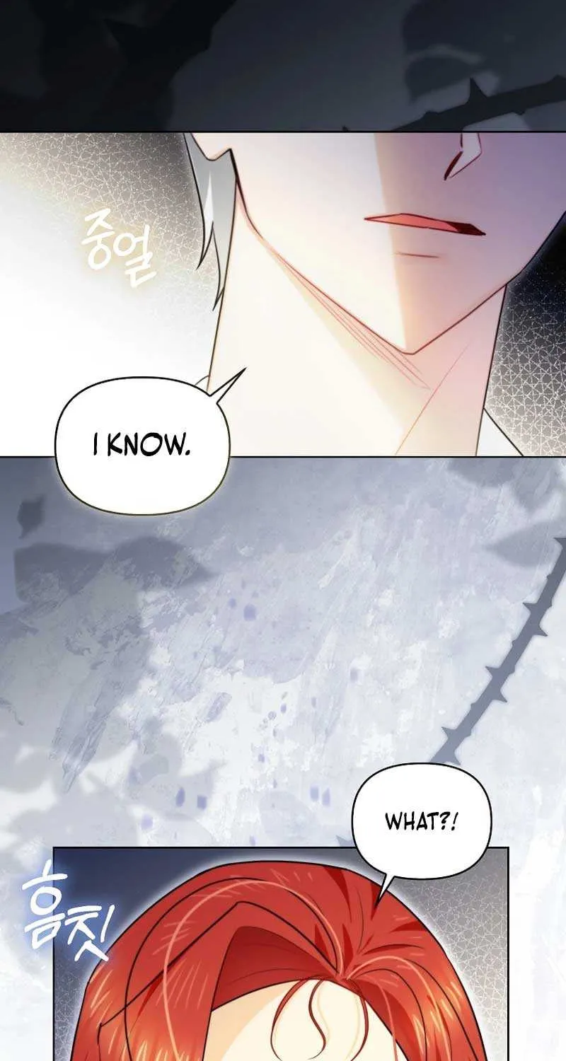 Even Though I Transmigrated as a Villainess, I’d Rather Raise a Cat Chapter 16 page 50 - 