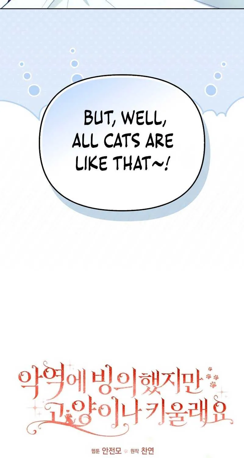 Even Though I Transmigrated as a Villainess, I’d Rather Raise a Cat Chapter 17 page 27 - 