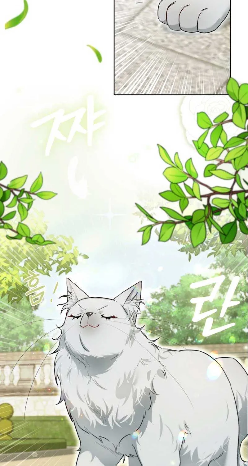 Even Though I Transmigrated as a Villainess, I’d Rather Raise a Cat Chapter 17 page 30 - 