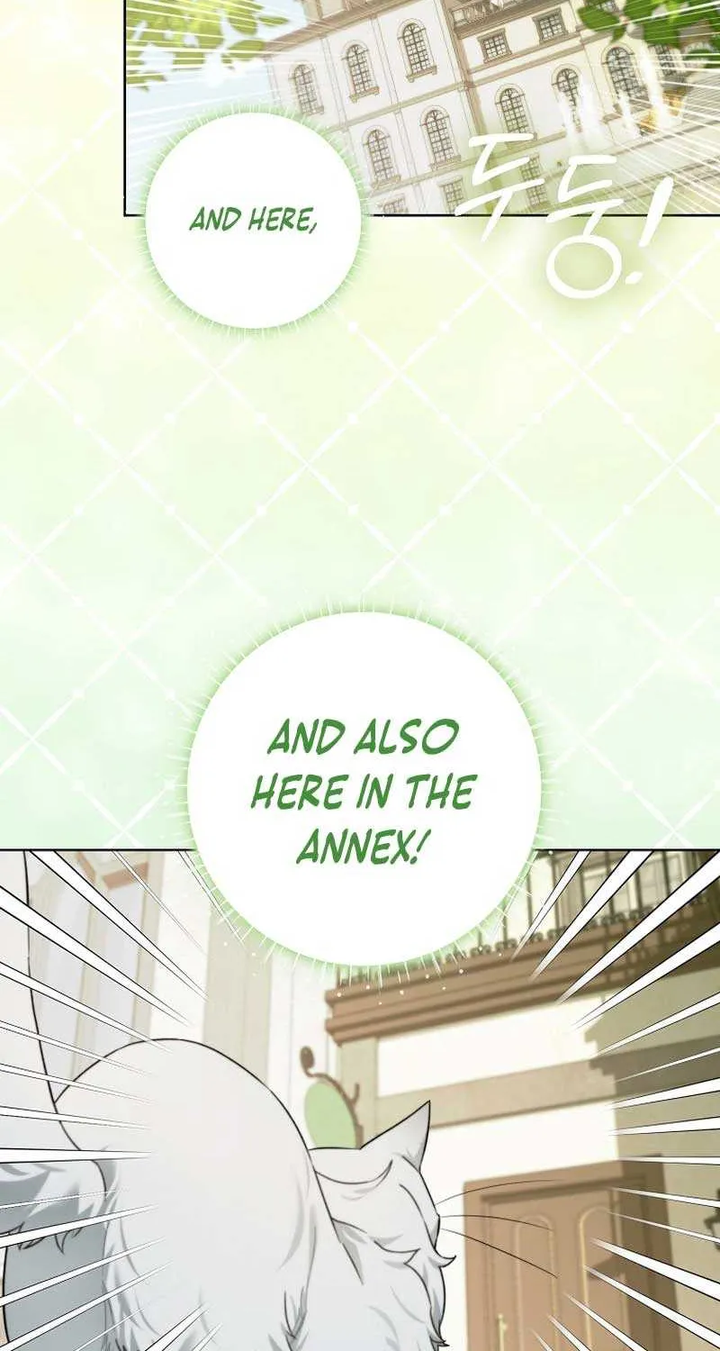 Even Though I Transmigrated as a Villainess, I’d Rather Raise a Cat Chapter 17 page 32 - 