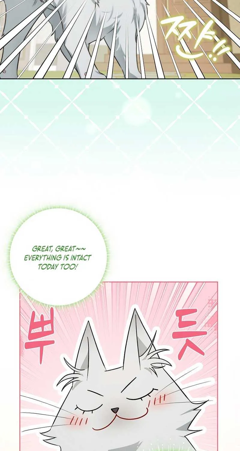 Even Though I Transmigrated as a Villainess, I’d Rather Raise a Cat Chapter 17 page 33 - 