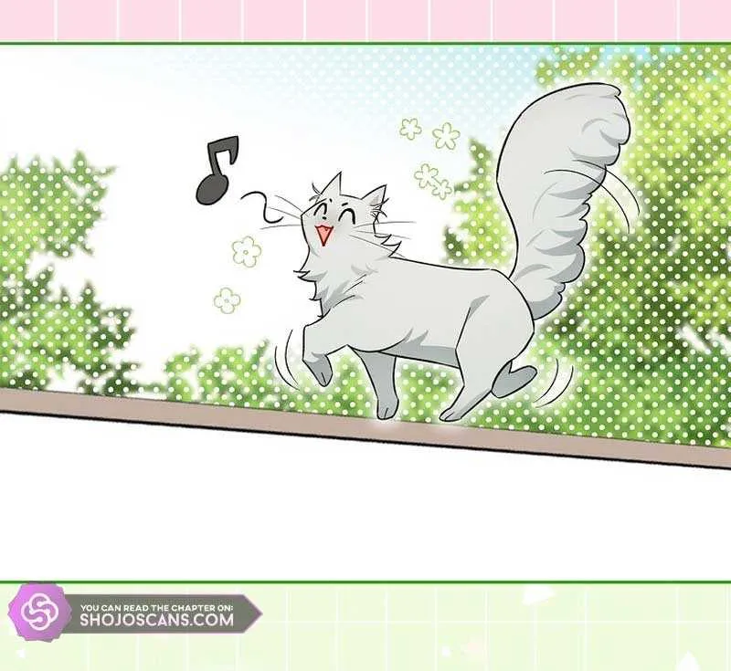 Even Though I Transmigrated as a Villainess, I’d Rather Raise a Cat Chapter 17 page 35 - 