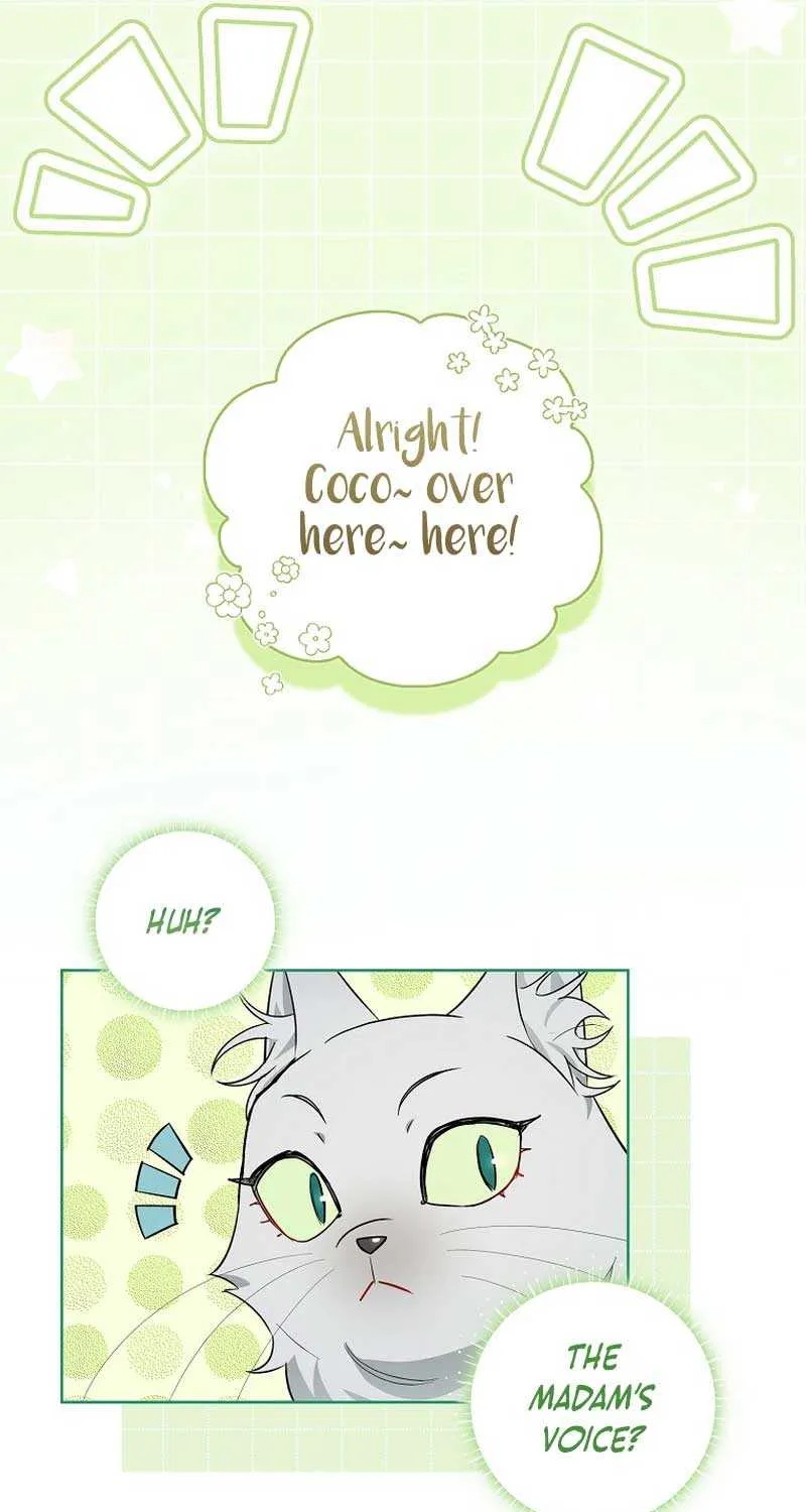 Even Though I Transmigrated as a Villainess, I’d Rather Raise a Cat Chapter 17 page 36 - 
