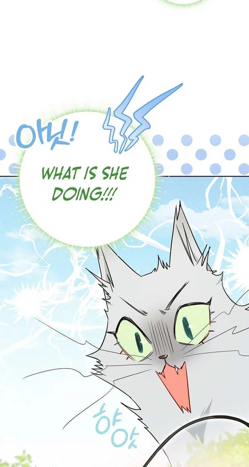 Even Though I Transmigrated as a Villainess, I’d Rather Raise a Cat Chapter 17 page 37 - 