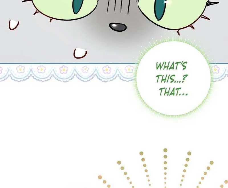 Even Though I Transmigrated as a Villainess, I’d Rather Raise a Cat Chapter 17 page 41 - 