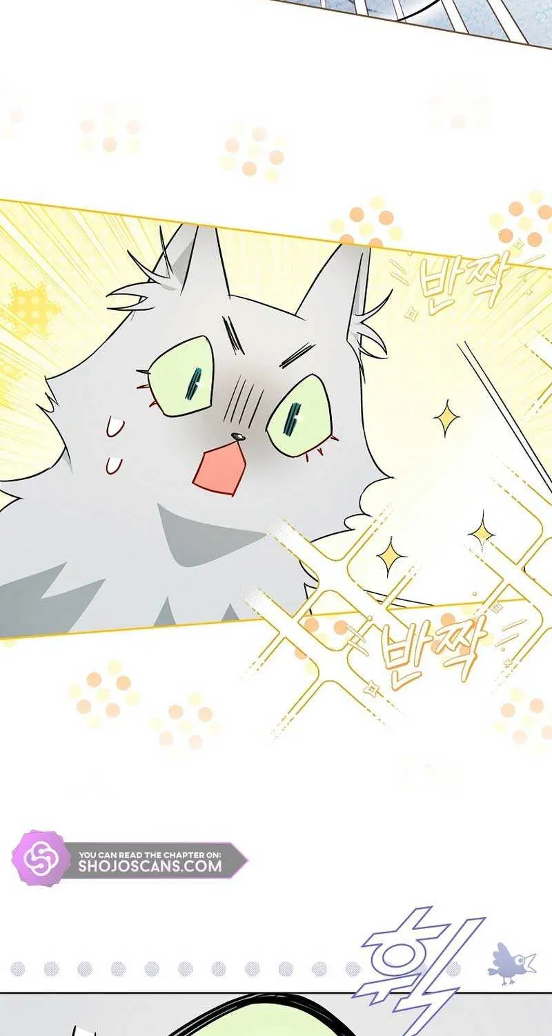 Even Though I Transmigrated as a Villainess, I’d Rather Raise a Cat Chapter 17 page 44 - 