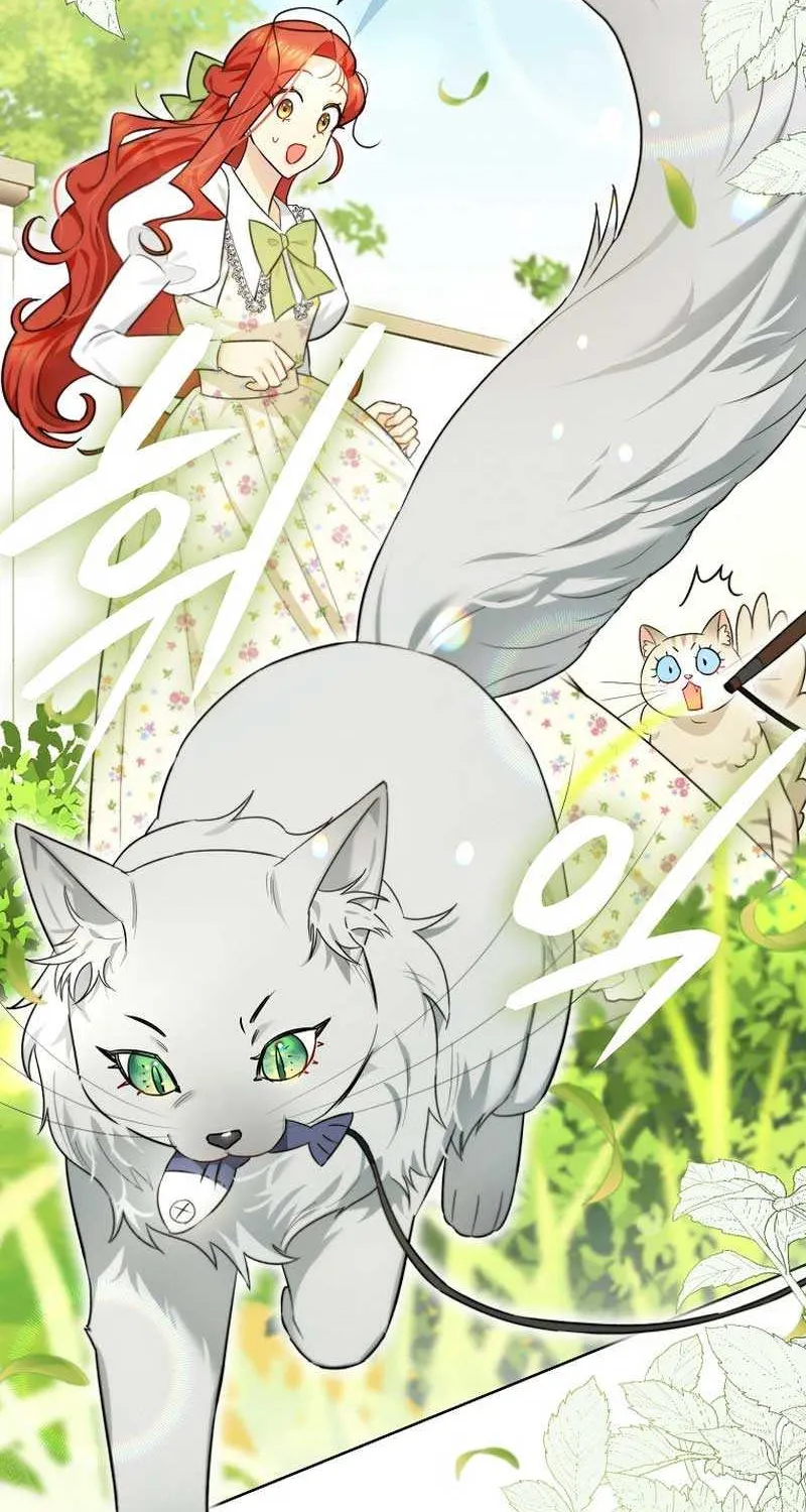 Even Though I Transmigrated as a Villainess, I’d Rather Raise a Cat Chapter 17 page 47 - 