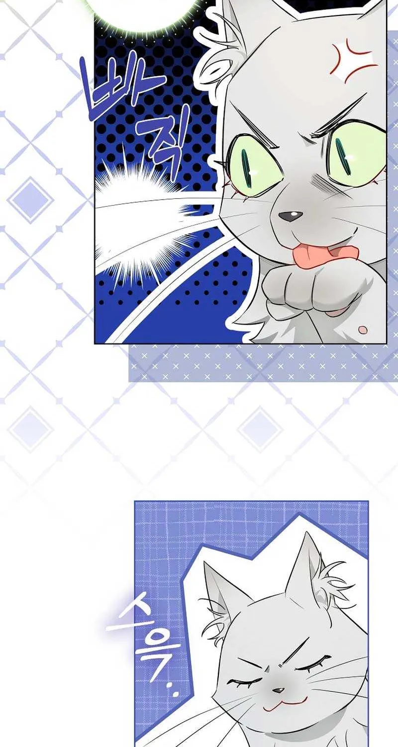 Even Though I Transmigrated as a Villainess, I’d Rather Raise a Cat Chapter 17 page 54 - 