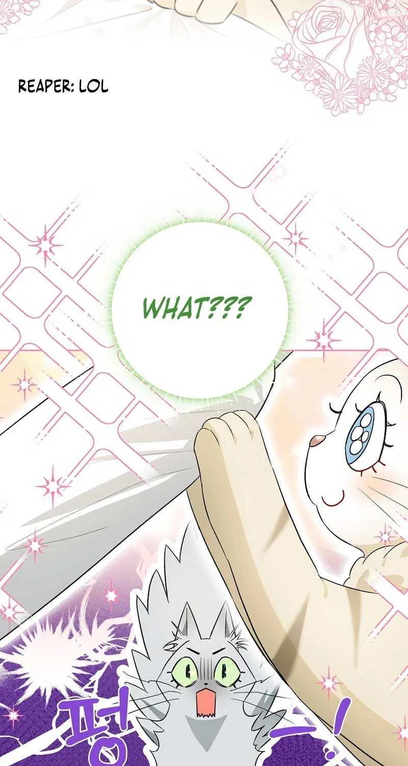 Even Though I Transmigrated as a Villainess, I’d Rather Raise a Cat Chapter 17 page 62 - 