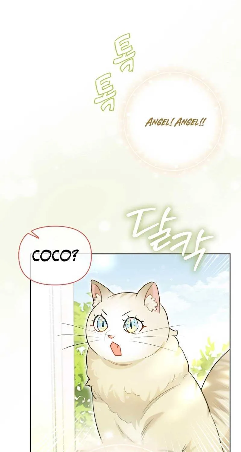 Even Though I Transmigrated as a Villainess, I’d Rather Raise a Cat Chapter 18 page 34 - 