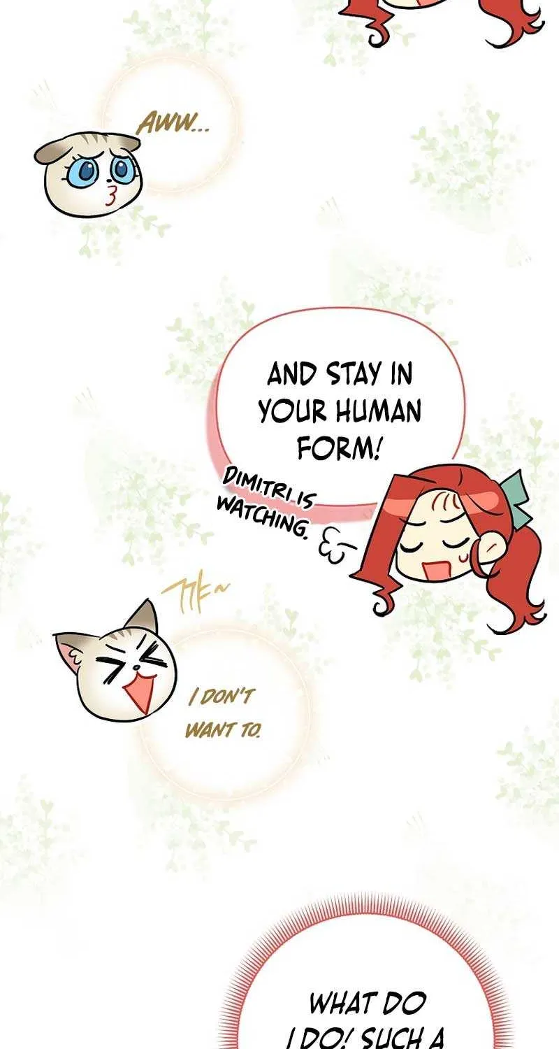 Even Though I Transmigrated as a Villainess, I’d Rather Raise a Cat Chapter 19 page 61 - 