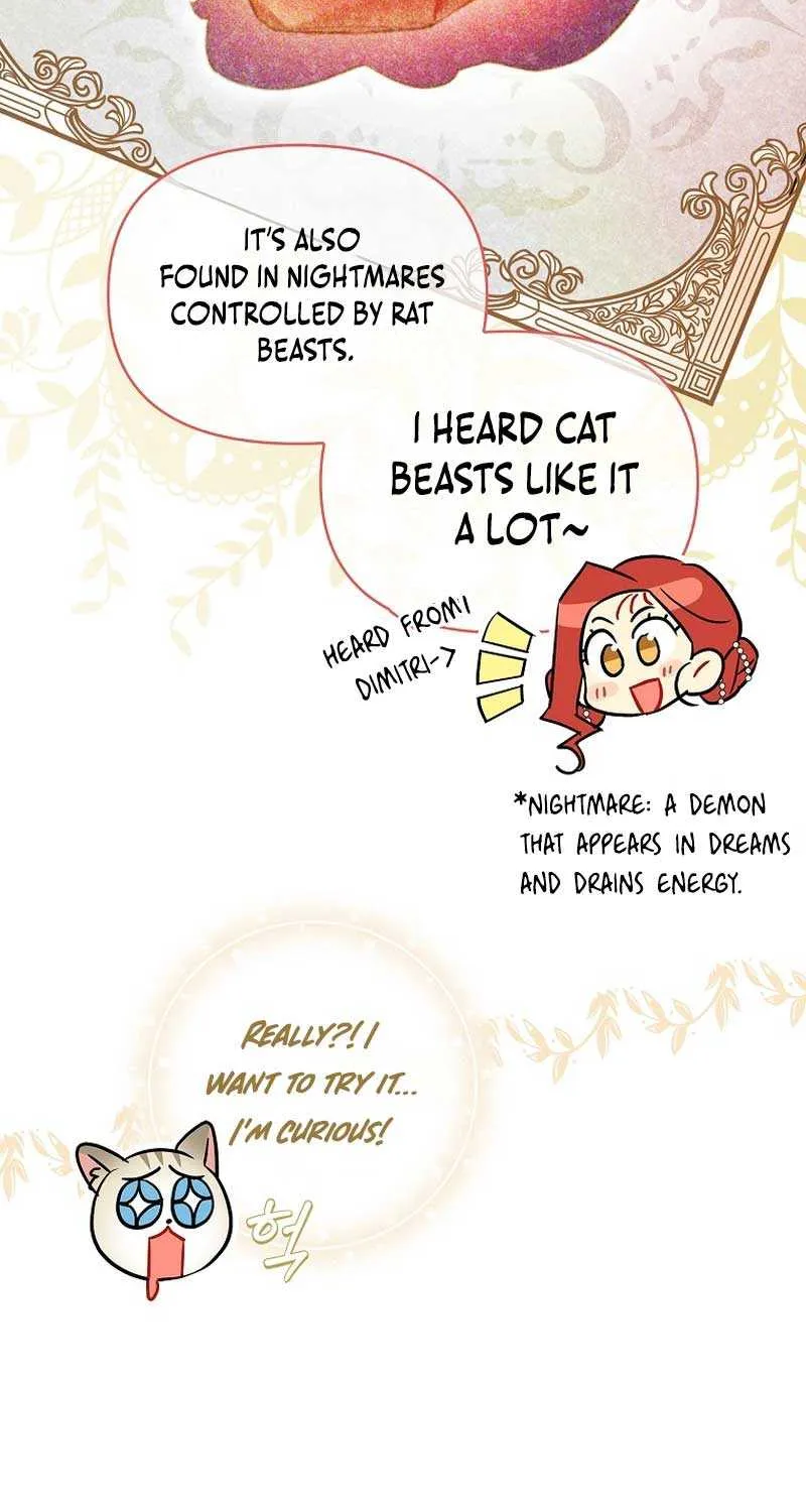 Even Though I Transmigrated as a Villainess, I’d Rather Raise a Cat Chapter 19 page 69 - 