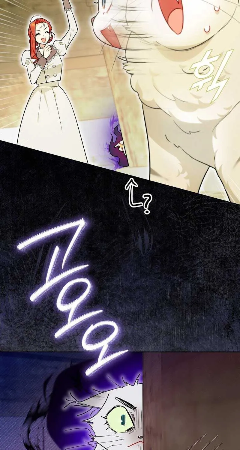 Even Though I Transmigrated as a Villainess, I’d Rather Raise a Cat Chapter 19 page 78 - 