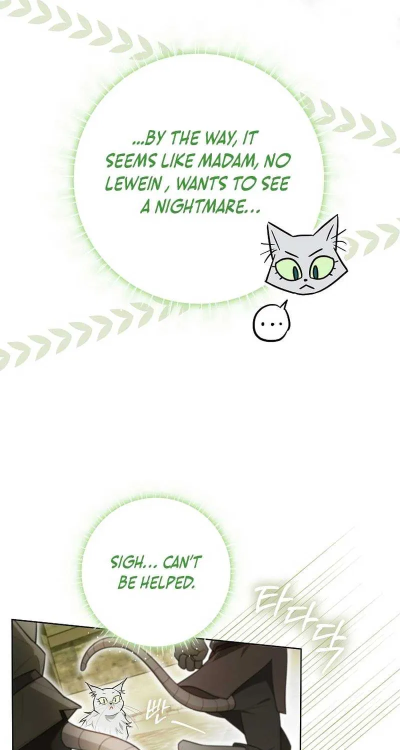 Even Though I Transmigrated as a Villainess, I’d Rather Raise a Cat Chapter 19 page 82 - 