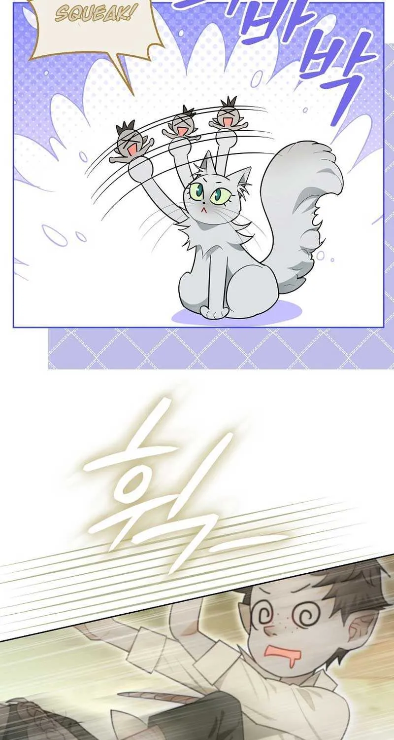 Even Though I Transmigrated as a Villainess, I’d Rather Raise a Cat Chapter 19 page 85 - 