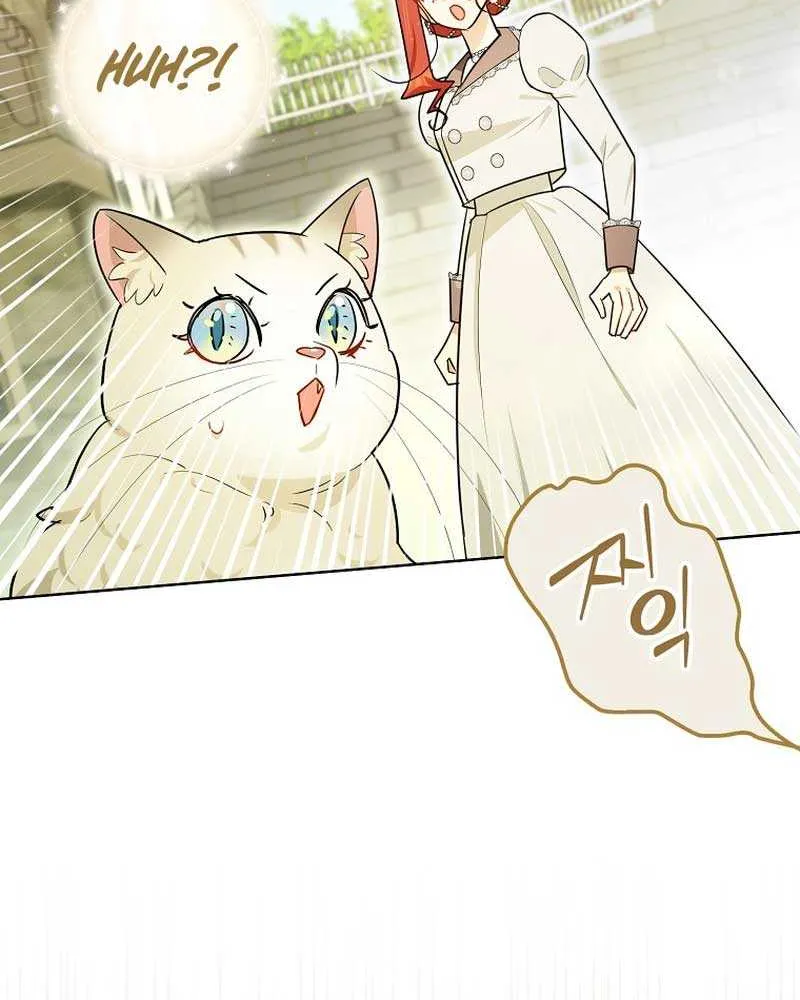 Even Though I Transmigrated as a Villainess, I’d Rather Raise a Cat Chapter 19 page 87 - 