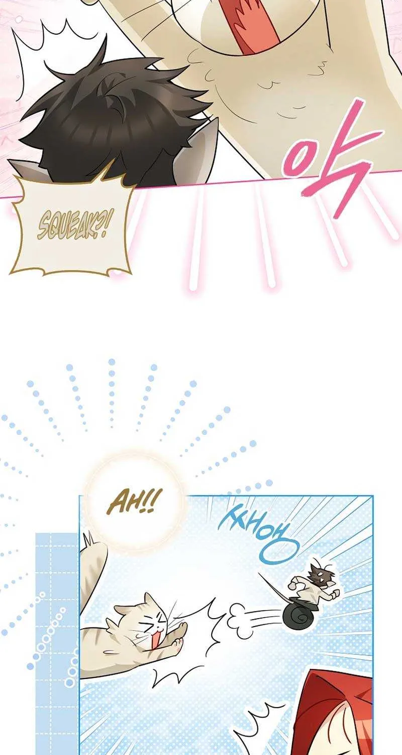 Even Though I Transmigrated as a Villainess, I’d Rather Raise a Cat Chapter 19 page 91 - 