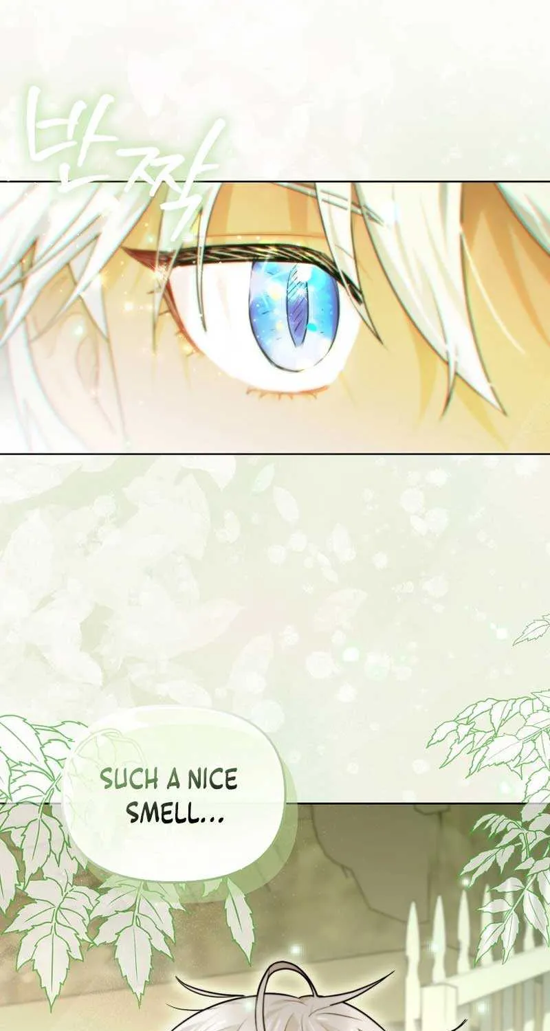 Even Though I Transmigrated as a Villainess, I’d Rather Raise a Cat Chapter 19 page 96 - 