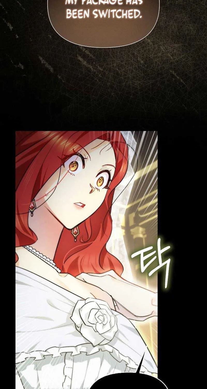 Even Though I Transmigrated as a Villainess, I’d Rather Raise a Cat Chapter 2 page 3 - 