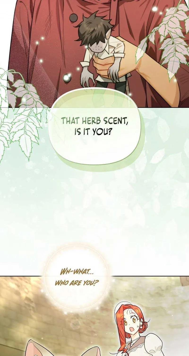 Even Though I Transmigrated as a Villainess, I’d Rather Raise a Cat Chapter 20 page 3 - 